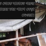 WhatsApp Image 2025-10-15 at 11.26.13_e10c2923